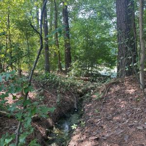 Photo #19 of Lakeside, Raleigh, NC 4.0 acres