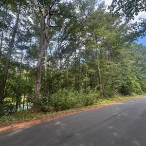 Photo #4 of Lakeside, Raleigh, NC 4.0 acres