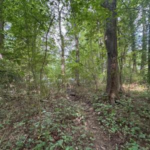 Photo #15 of Lakeside, Raleigh, NC 4.0 acres