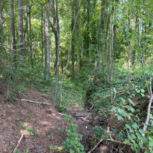 Photo #18 of Lakeside, Raleigh, NC 4.0 acres