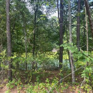 Photo #3 of Lakeside, Raleigh, NC 4.0 acres