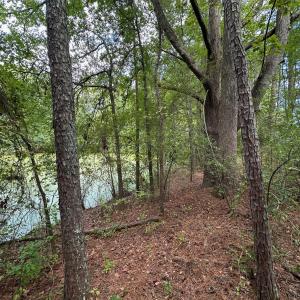 Photo #6 of Lakeside, Raleigh, NC 4.0 acres