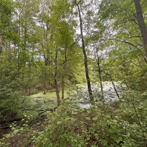 Photo #13 of Lakeside, Raleigh, NC 4.0 acres