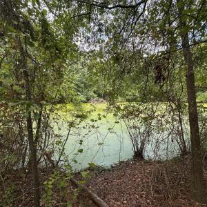 Photo #5 of Lakeside, Raleigh, NC 4.0 acres