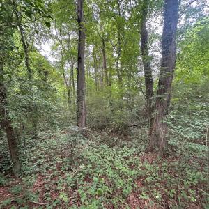 Photo #14 of Lakeside, Raleigh, NC 4.0 acres