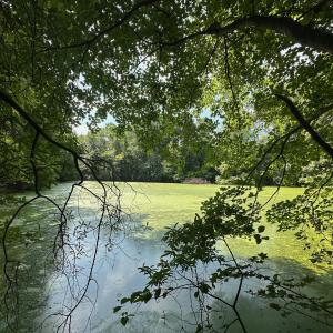 Photo #20 of Lakeside, Raleigh, NC 4.0 acres