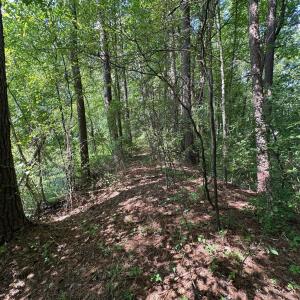 Photo #21 of Lakeside, Raleigh, NC 4.0 acres