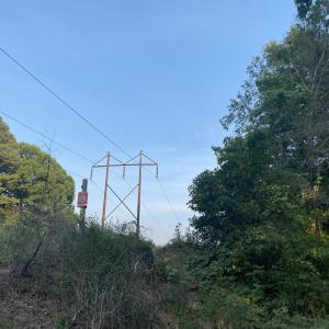 Photo #3 of 2417 Holiday, Raleigh, NC 0.3 acres