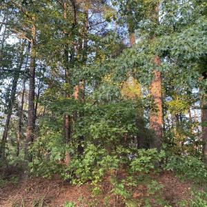 Photo #1 of 2417 Holiday, Raleigh, NC 0.3 acres