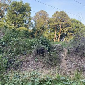 Photo #2 of 2417 Holiday, Raleigh, NC 0.3 acres