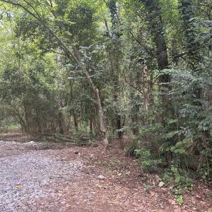 Photo #4 of Cedar, Garner, NC 0.5 acres