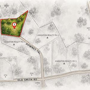 Photo #1 of 50 Downes, Selma, NC 3.9 acres