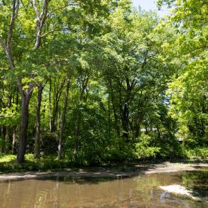 Photo #10 of 2130 Timberlake, Raleigh, NC 0.6 acres