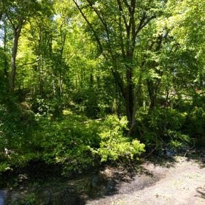 Photo #13 of 2130 Timberlake, Raleigh, NC 0.6 acres