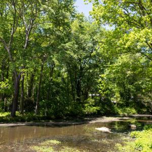 Photo #9 of 2130 Timberlake, Raleigh, NC 0.6 acres