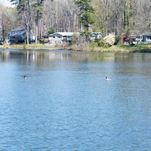 Photo #18 of 2130 Timberlake, Raleigh, NC 0.6 acres