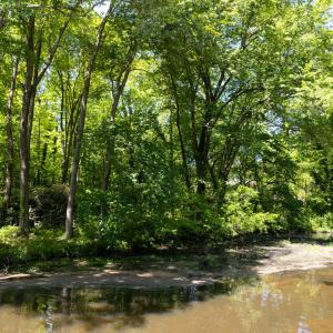 Photo #11 of 2130 Timberlake, Raleigh, NC 0.6 acres