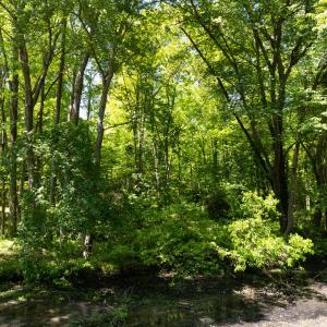 Photo #12 of 2130 Timberlake, Raleigh, NC 0.6 acres