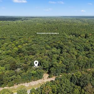 Photo #15 of Tbd Reno Sharps Store, Bear Creek, NC 5.0 acres