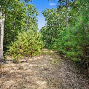 Photo #7 of Tbd Reno Sharps Store, Bear Creek, NC 5.0 acres