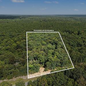 Photo #1 of Tbd Reno Sharps Store, Bear Creek, NC 5.0 acres