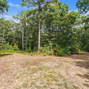 Photo #6 of Tbd Reno Sharps Store, Bear Creek, NC 5.0 acres