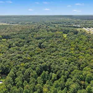 Photo #11 of Tbd Reno Sharps Store, Bear Creek, NC 5.0 acres