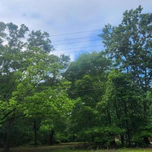 Photo #2 of 8220 Bells Lake, Apex, NC 0.7 acres