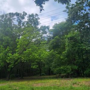 Photo #3 of 8220 Bells Lake, Apex, NC 0.7 acres