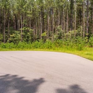 Photo #5 of 586 Anneliis, Siler City, NC 4.6 acres