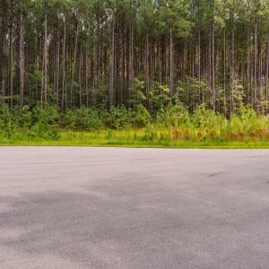 Photo #6 of 586 Anneliis, Siler City, NC 4.6 acres