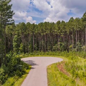 Photo #7 of 586 Anneliis, Siler City, NC 4.6 acres