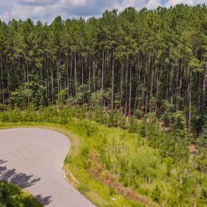 Photo #10 of 586 Anneliis, Siler City, NC 4.6 acres