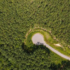 Photo #12 of 586 Anneliis, Siler City, NC 4.6 acres