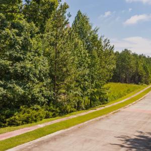 Photo #9 of 185 Larkington, Siler City, NC 5.9 acres