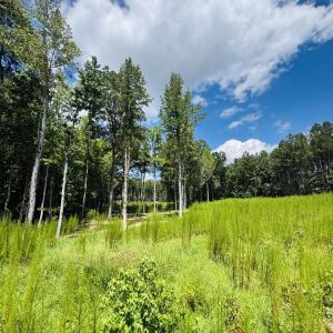 Photo #10 of 185 Larkington, Siler City, NC 5.9 acres