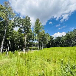 Photo #1 of 185 Larkington, Siler City, NC 5.9 acres