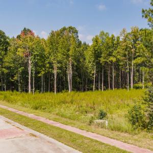 Photo #8 of 185 Larkington, Siler City, NC 5.9 acres