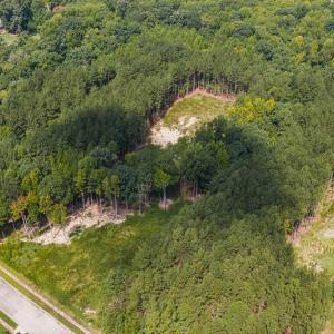 Photo #7 of 185 Larkington, Siler City, NC 5.9 acres