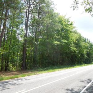 Photo #2 of 2200 Darroch, Lillington, NC 44.1 acres