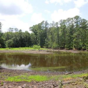 Photo #12 of 2200 Darroch, Lillington, NC 44.1 acres