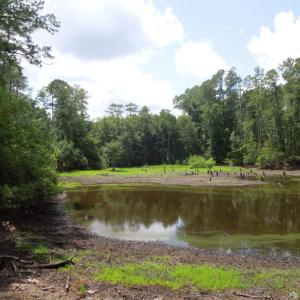 Photo #13 of 2200 Darroch, Lillington, NC 44.1 acres