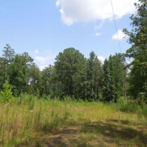 Photo #1 of 2200 Darroch, Lillington, NC 44.1 acres