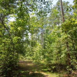 Photo #14 of 2200 Darroch, Lillington, NC 44.1 acres