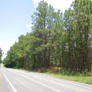 Photo #3 of 2200 Darroch, Lillington, NC 44.1 acres