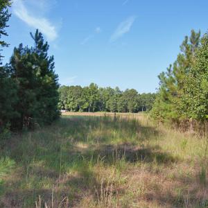 Photo #7 of 1738 Laurel Mill-centerville, Louisburg, NC 15.8 acres