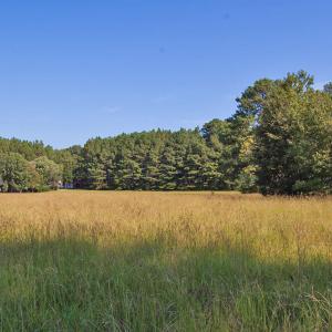 Photo #16 of 1738 Laurel Mill-centerville, Louisburg, NC 15.8 acres