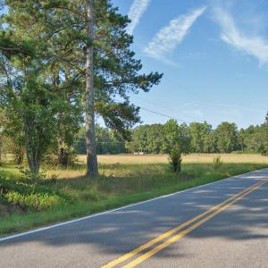 Photo #9 of 1738 Laurel Mill-centerville, Louisburg, NC 15.8 acres