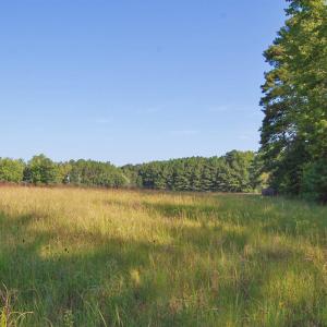 Photo #1 of 1738 Laurel Mill-centerville, Louisburg, NC 15.8 acres