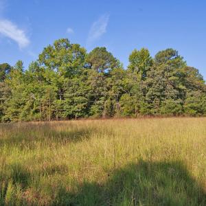 Photo #5 of 1738 Laurel Mill-centerville, Louisburg, NC 15.8 acres